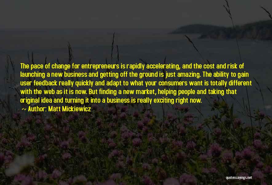 Business Entrepreneurs Quotes By Matt Mickiewicz