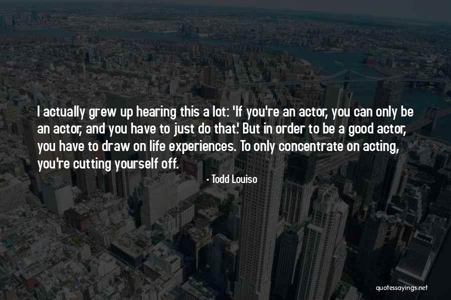 Business Farewell Quotes By Todd Louiso
