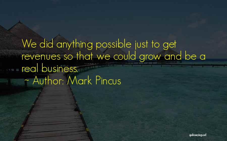 Business Grow Quotes By Mark Pincus