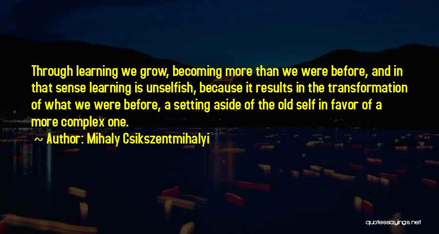 Business Grow Quotes By Mihaly Csikszentmihalyi