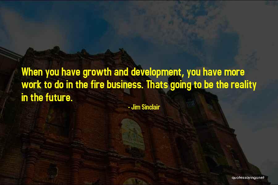 Business Growth And Development Quotes By Jim Sinclair