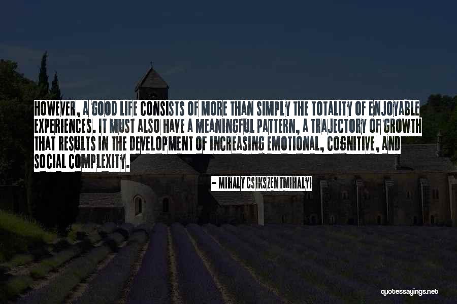 Business Growth And Development Quotes By Mihaly Csikszentmihalyi