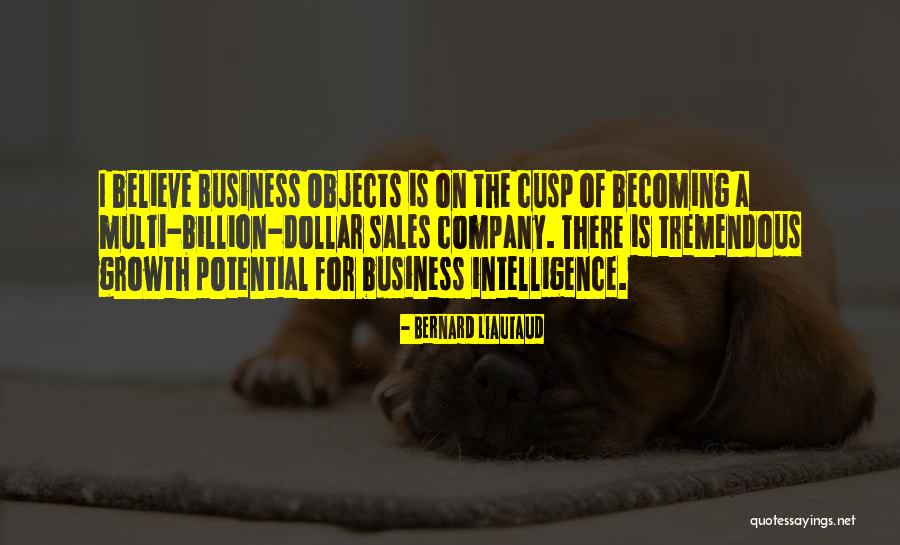 Business Growth Quotes By Bernard Liautaud Business Growth Quotes By Bernard Liautaud