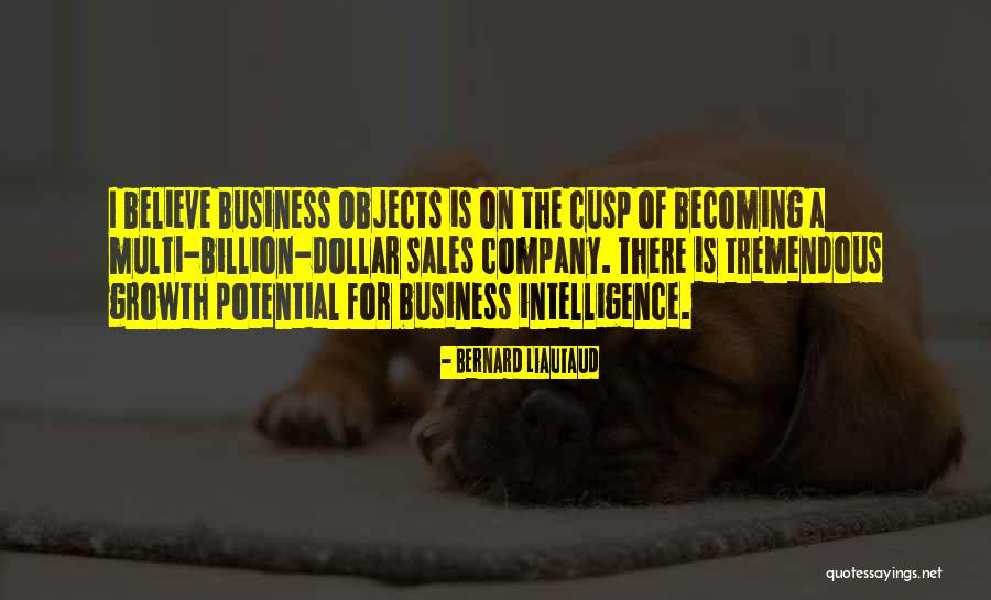 Business Growth Quotes By Bernard Liautaud