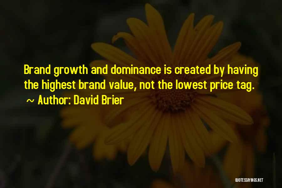 Business Growth Success Quotes By David Brier