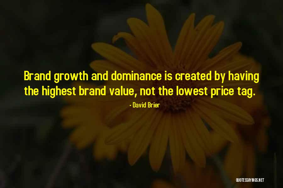 Business Growth Success Quotes By David Brier