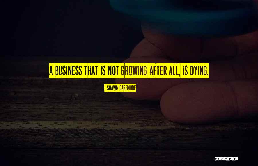 Business Growth Success Quotes By Shawn Casemore