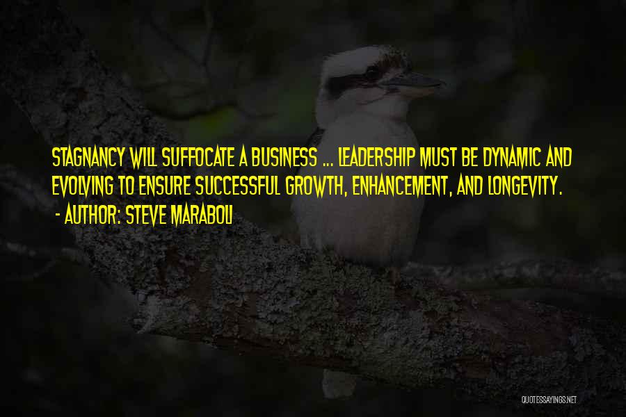 Business Growth Success Quotes By Steve Maraboli