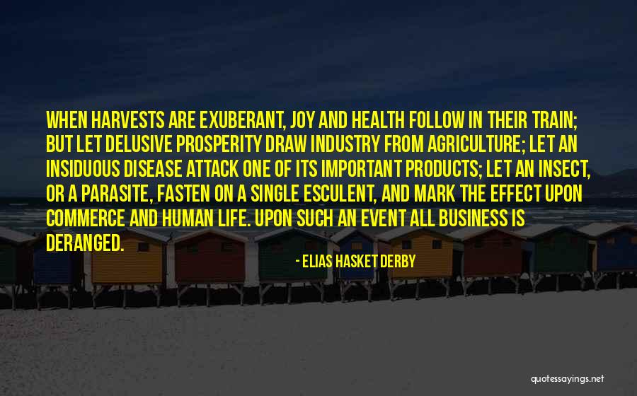 Business Health Quotes By Elias Hasket Derby Business Health Quotes By Elias Hasket Derby