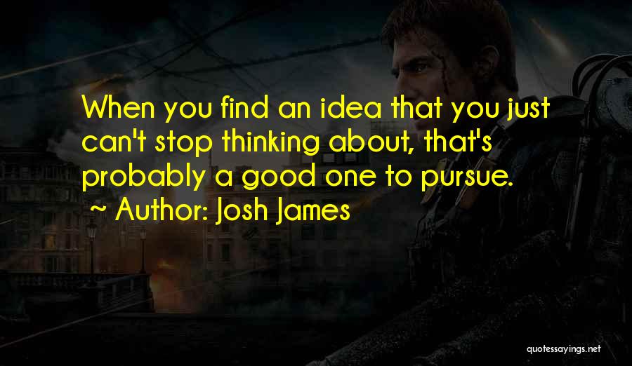 Business Ideas Quotes By Josh James