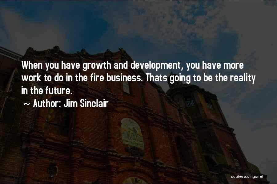 Business In The Future Quotes By Jim Sinclair