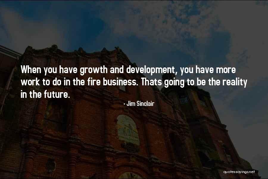 Business In The Future Quotes By Jim Sinclair