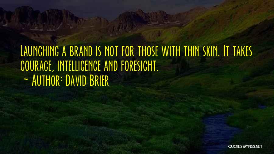 Business Launching Quotes By David Brier
