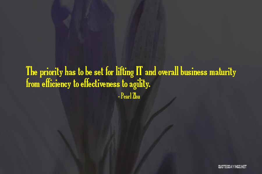 Business Maturity Quotes By Pearl Zhu Business Maturity Quotes By Pearl Zhu