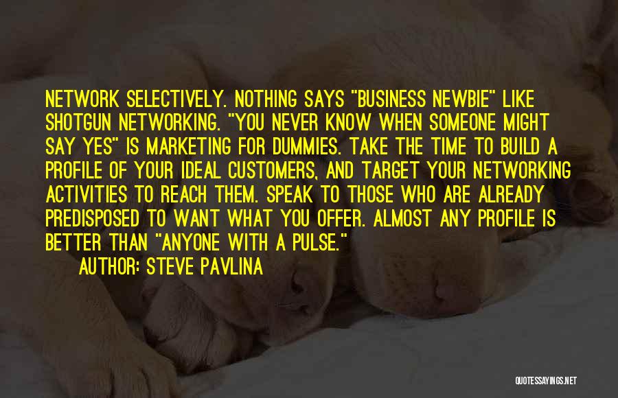 Business Networking Quotes By Steve Pavlina