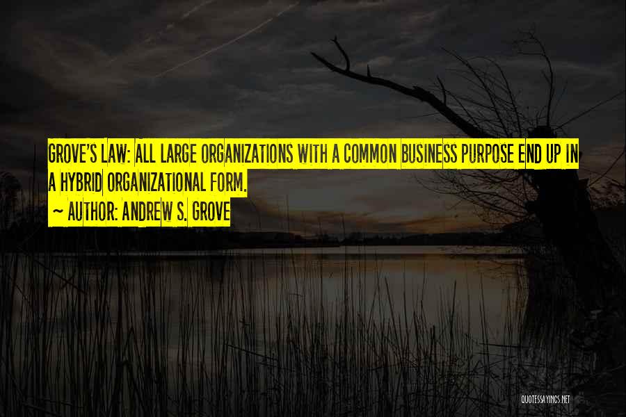 Business Organizational Quotes By Andrew S. Grove