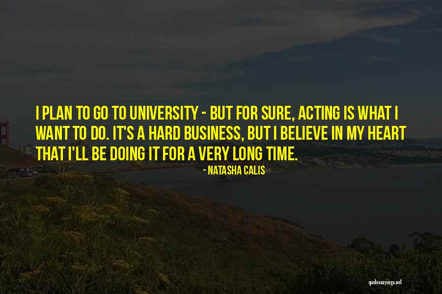 Business Plan Quotes By Natasha Calis Business Plan Quotes By Natasha Calis