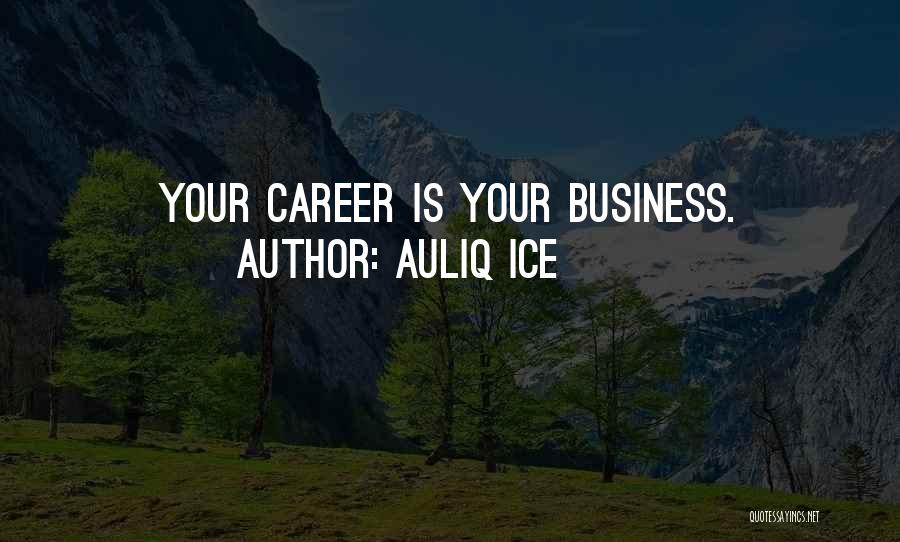 Business Planning Quotes By Auliq Ice