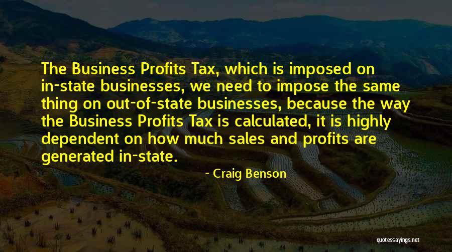 Business Profits Quotes By Craig Benson