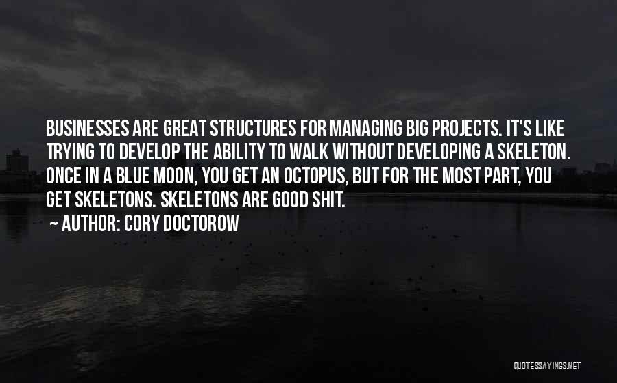 Business Projects Quotes By Cory Doctorow