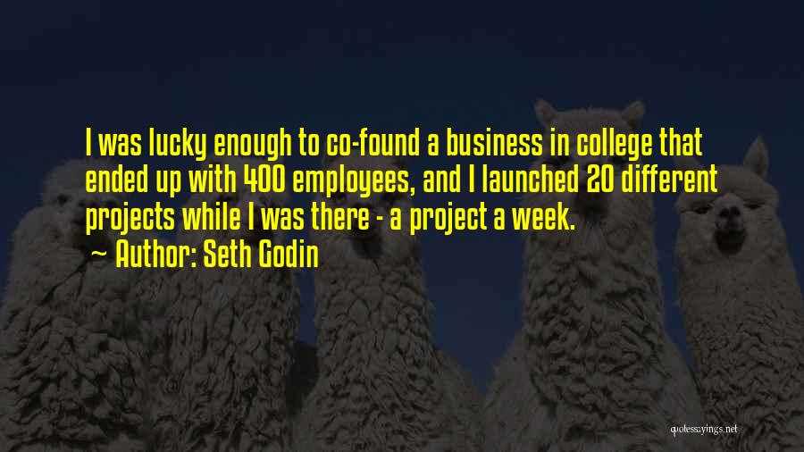 Business Projects Quotes By Seth Godin