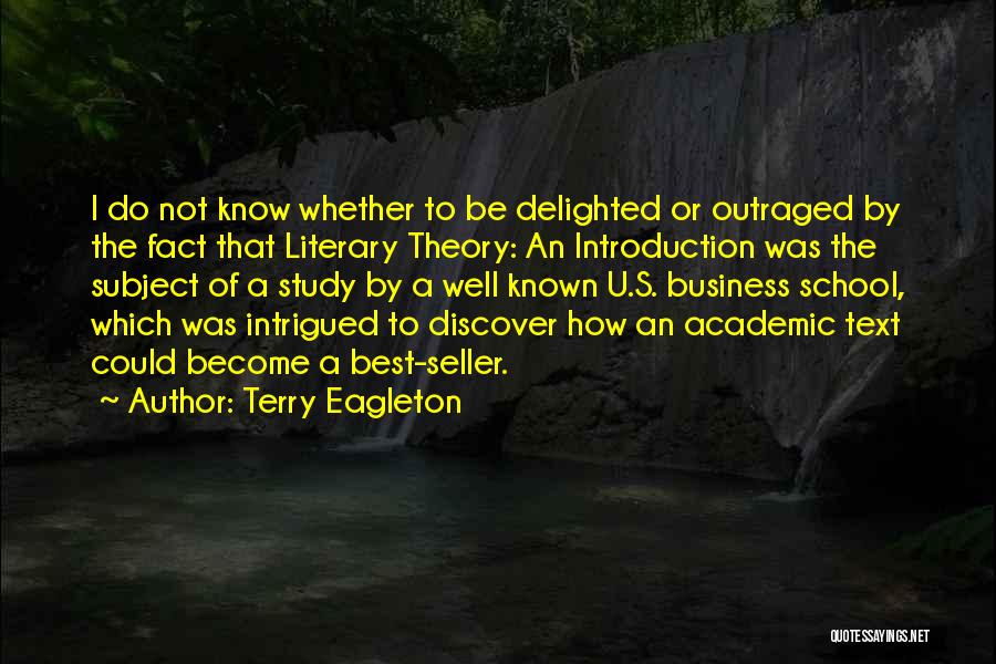 Business School Quotes By Terry Eagleton