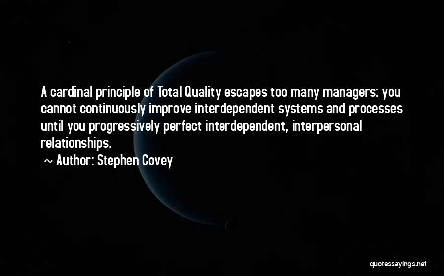 Business Systems Quotes By Stephen Covey