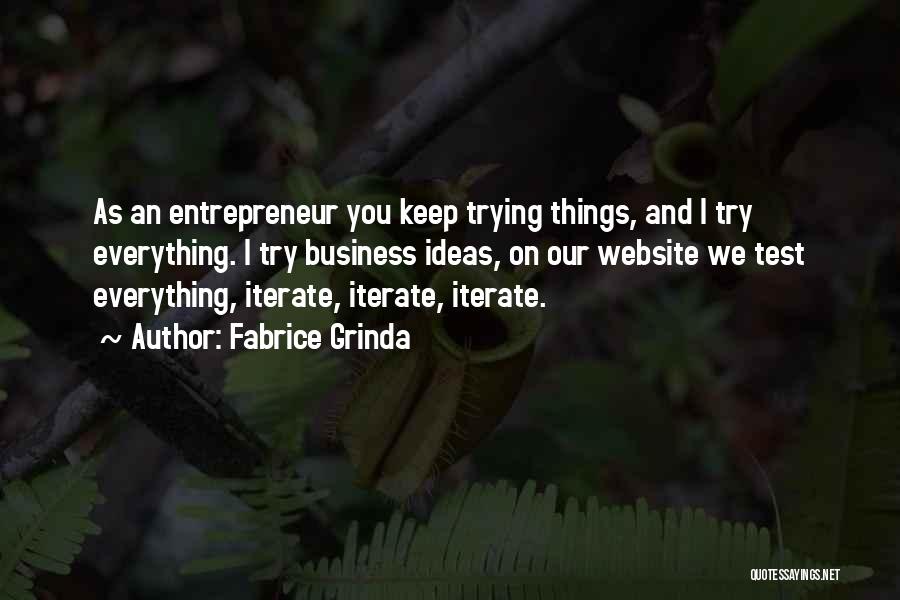 Business Website Quotes By Fabrice Grinda