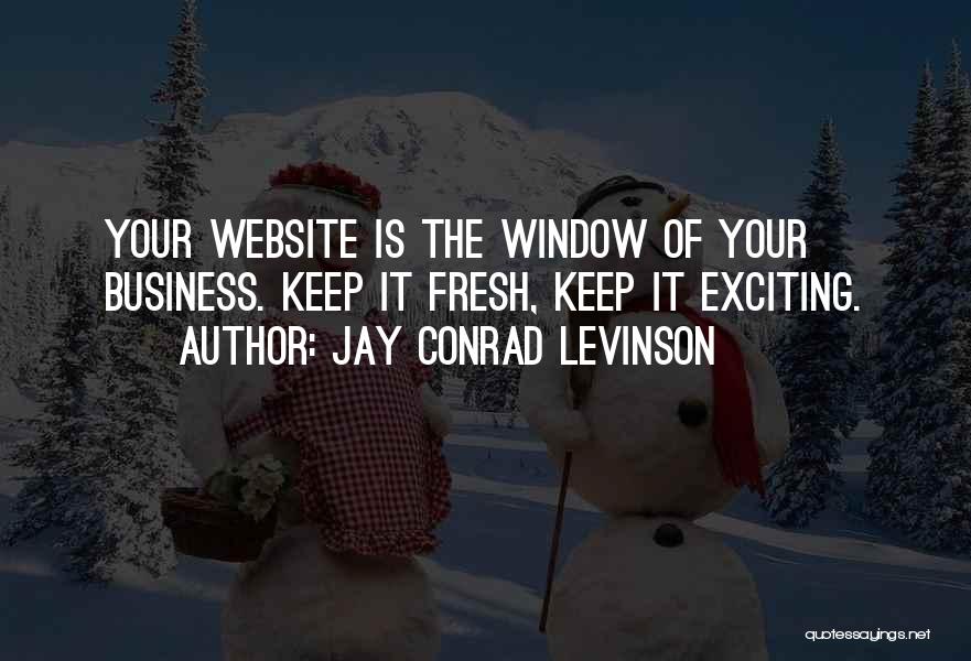 Business Website Quotes By Jay Conrad Levinson