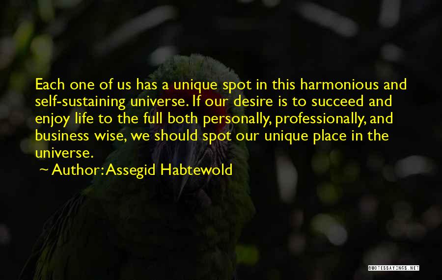 Business Wise Quotes By Assegid Habtewold