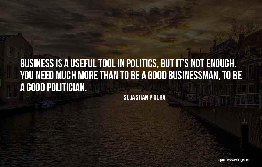 Businessman Quotes By Sebastian Pinera