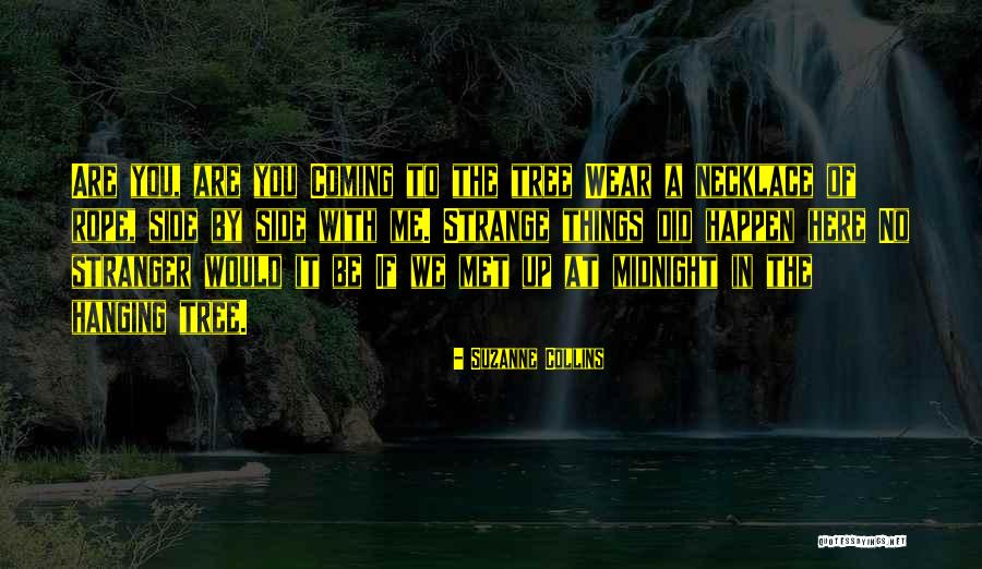 Busra Apaydin Quotes By Suzanne Collins Busra Apaydin Quotes By Suzanne Collins