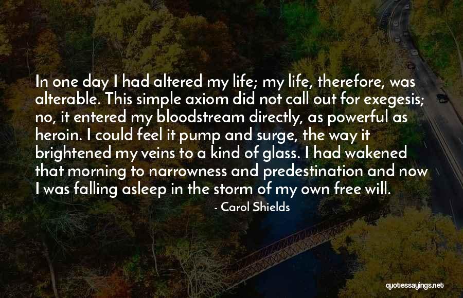 Bussing Quotes By Carol Shields Bussing Quotes By Carol Shields