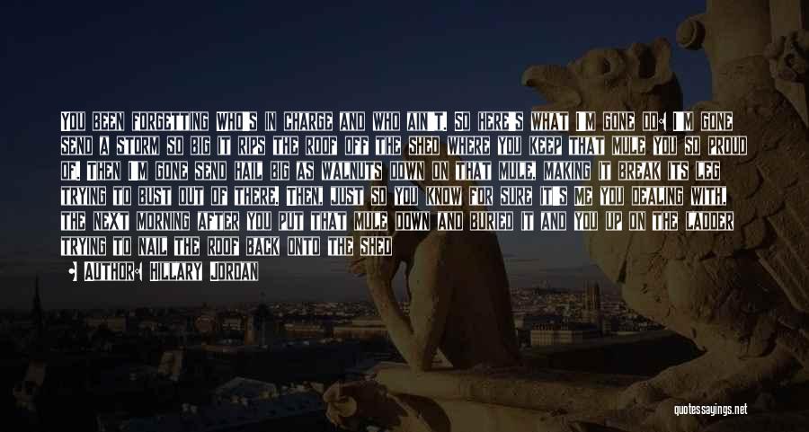 Bust Up Quotes By Hillary Jordan Bust Up Quotes By Hillary Jordan