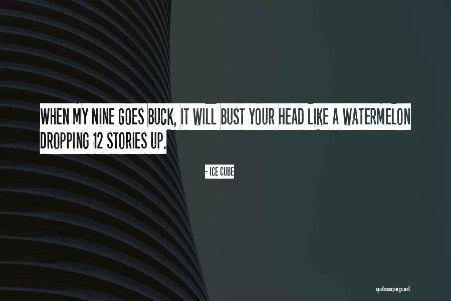 Bust Up Quotes By Ice Cube Bust Up Quotes By Ice Cube