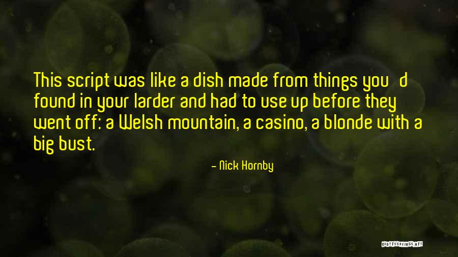 Bust Up Quotes By Nick Hornby