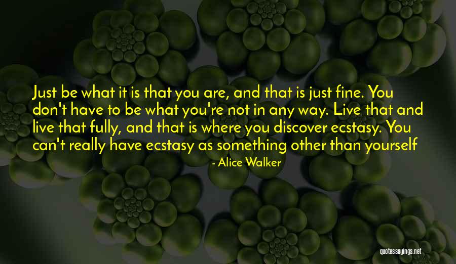 Bustas Quotes By Alice Walker Bustas Quotes By Alice Walker