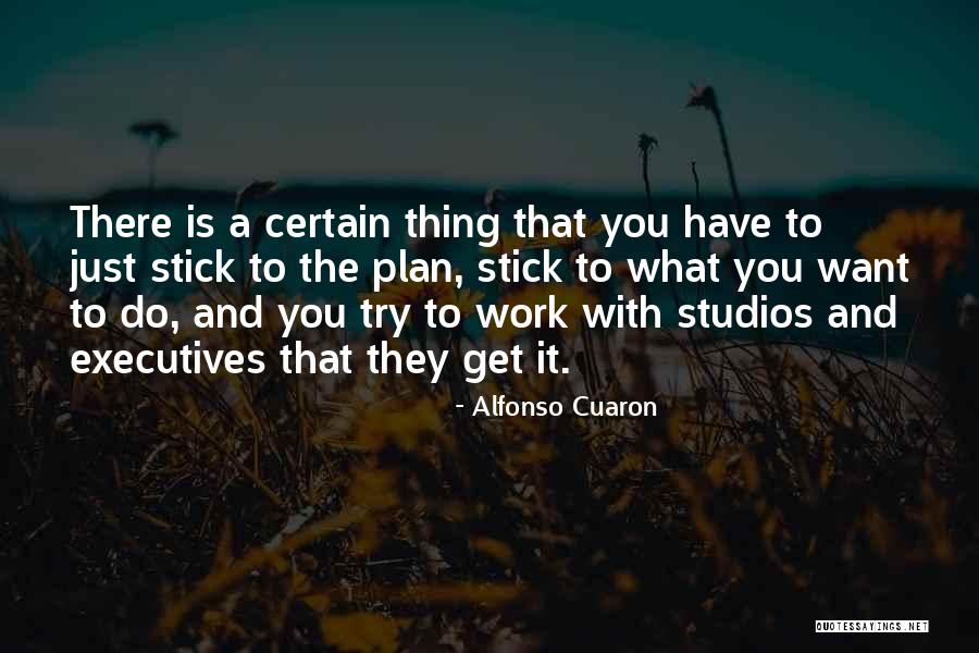 Bustin Quotes By Alfonso Cuaron Bustin Quotes By Alfonso Cuaron