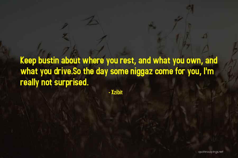 Bustin Quotes By Xzibit Bustin Quotes By Xzibit