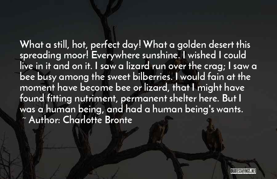 Busy As A Bee Quotes By Charlotte Bronte Busy As A Bee Quotes By Charlotte Bronte