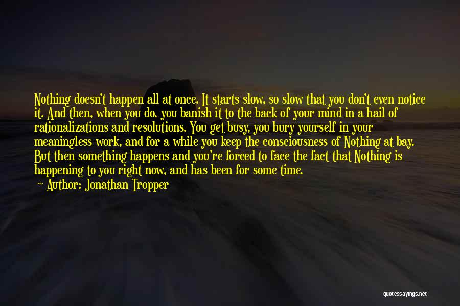 Busy At Work Quotes By Jonathan Tropper