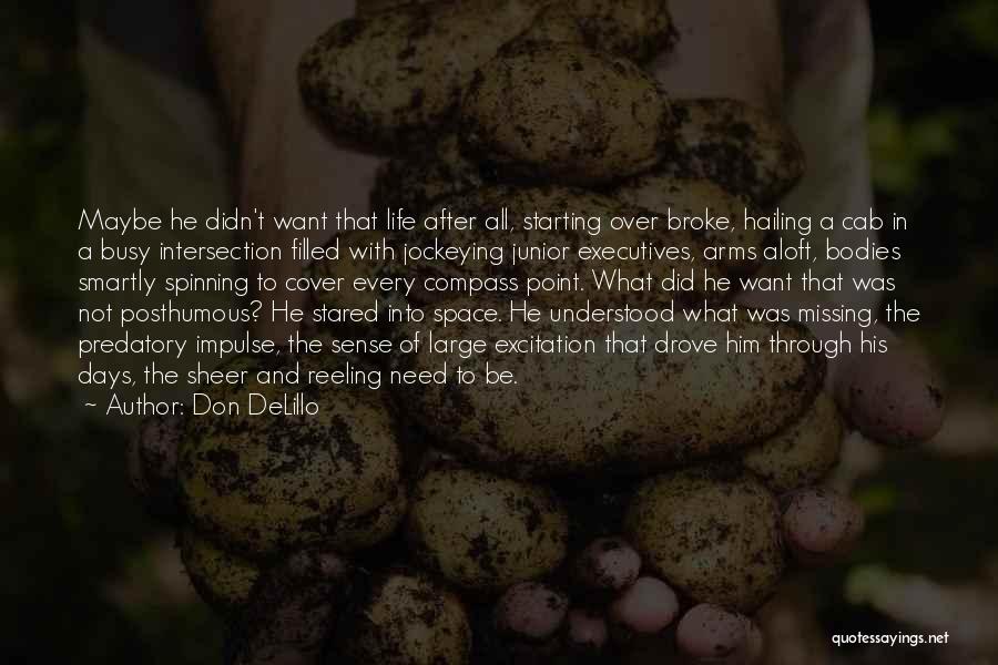Busy Bodies Quotes By Don DeLillo