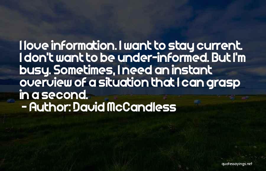 Busy But In Love Quotes By David McCandless