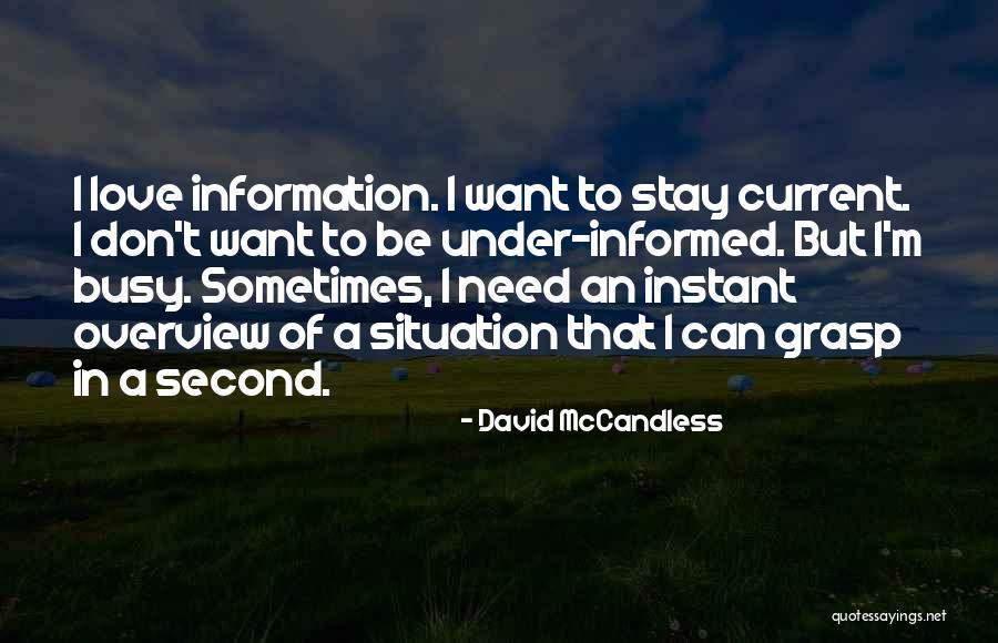 Busy But In Love Quotes By David McCandless