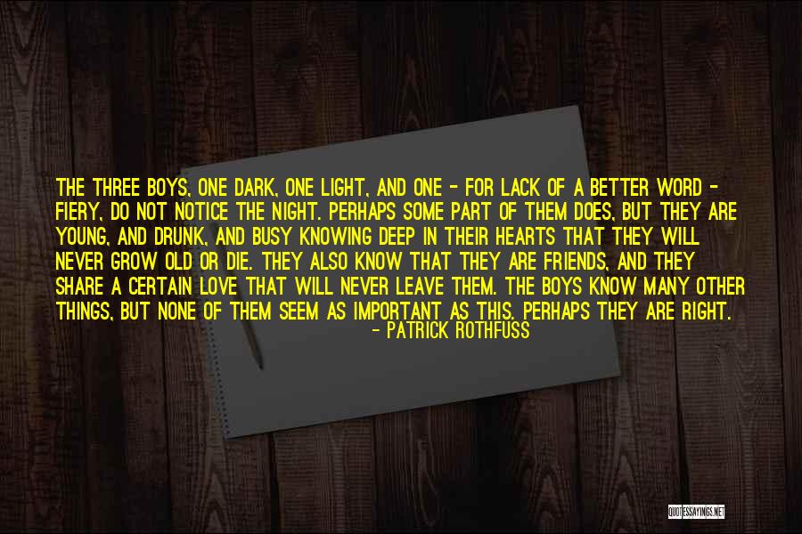 Busy But In Love Quotes By Patrick Rothfuss