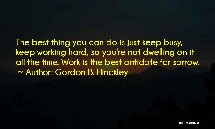 Busy Hard Work Quotes By Gordon B. Hinckley