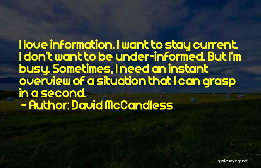 Busy In Love Quotes By David McCandless