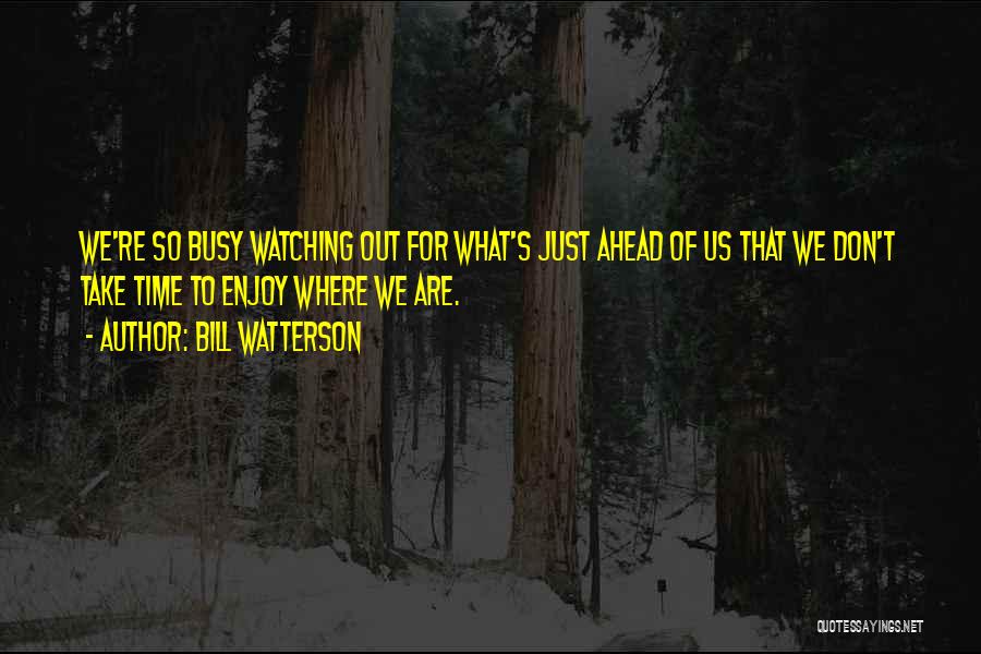 Busy Life Quotes By Bill Watterson