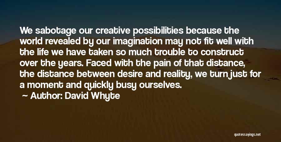 Busy Life Quotes By David Whyte