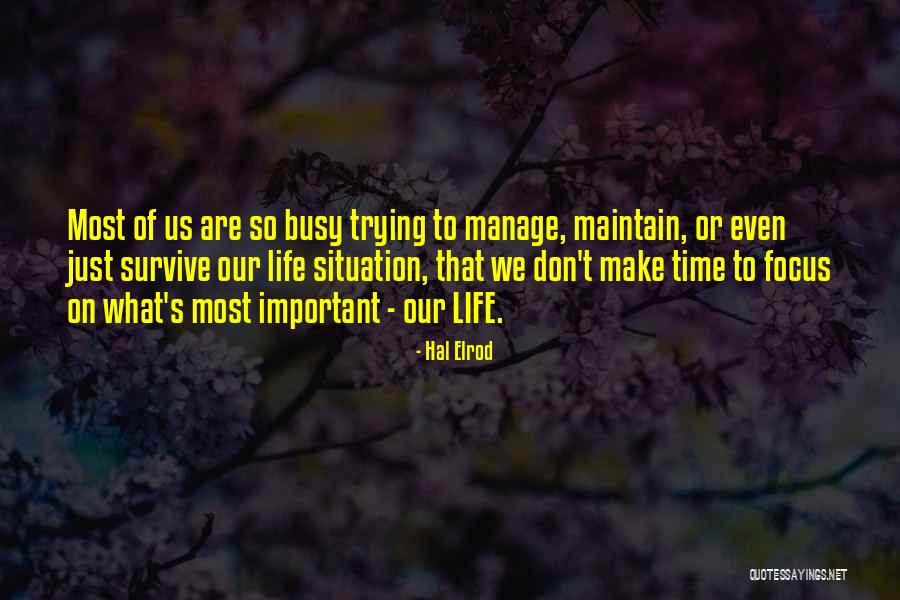 Busy Life Quotes By Hal Elrod